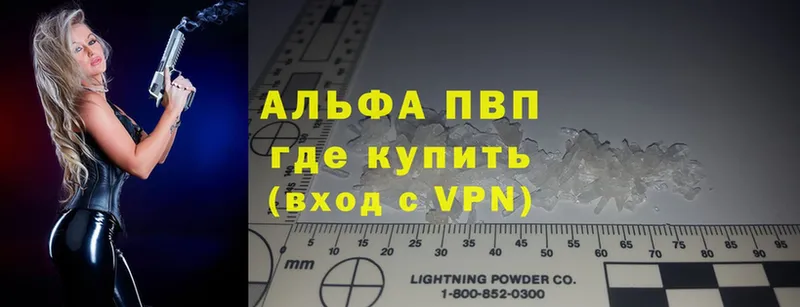 Где купить наркоту Гудермес Псилоцибиновые грибы  блэк спрут как зайти  ГАШИШ  А ПВП  Мефедрон 